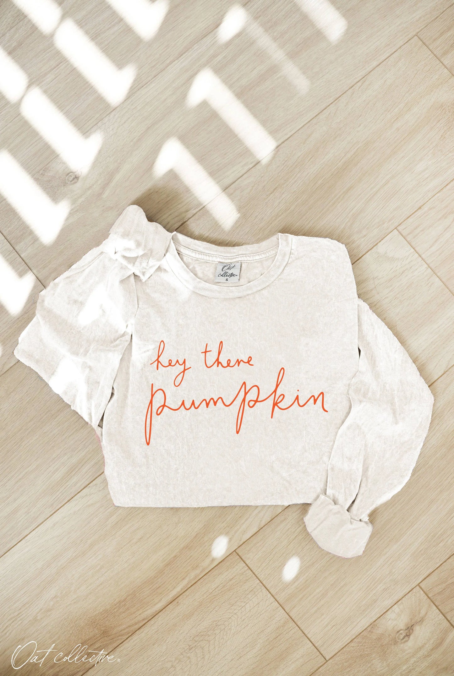 HEY THERE PUMPKIN Mineral Washed Long Sleeve Graphic Shirt OAT COLLECTIVE