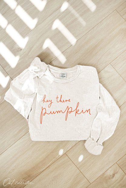 HEY THERE PUMPKIN Mineral Washed Long Sleeve Graphic Shirt OAT COLLECTIVE